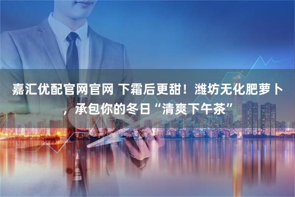 嘉汇优配官网官网 下霜后更甜！潍坊无化肥萝卜，承包你的冬日“清爽下午茶”