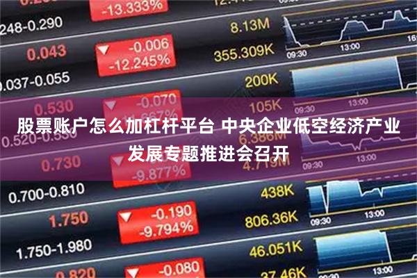 股票账户怎么加杠杆平台 中央企业低空经济产业发展专题推进会召开
