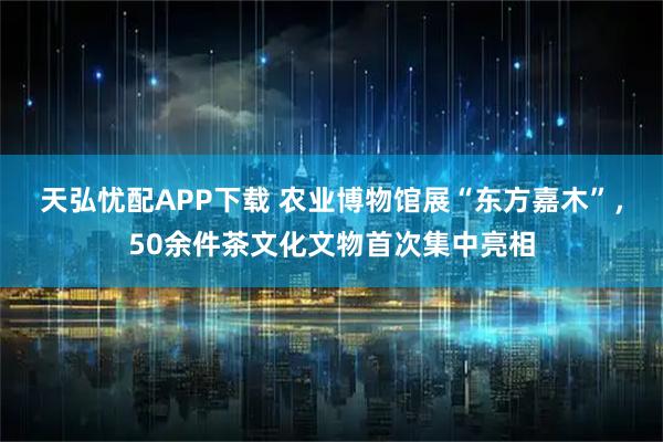 天弘忧配APP下载 农业博物馆展“东方嘉木”，50余件茶文化文物首次集中亮相