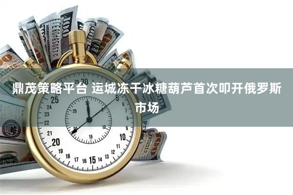 鼎茂策略平台 运城冻干冰糖葫芦首次叩开俄罗斯市场