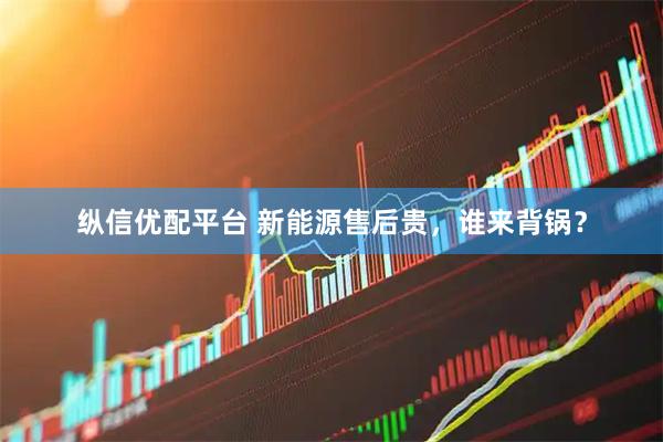 纵信优配平台 新能源售后贵，谁来背锅？